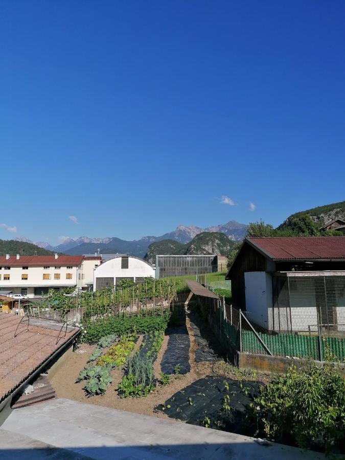 Al Fogolar Hotel Villa Santina Exterior foto